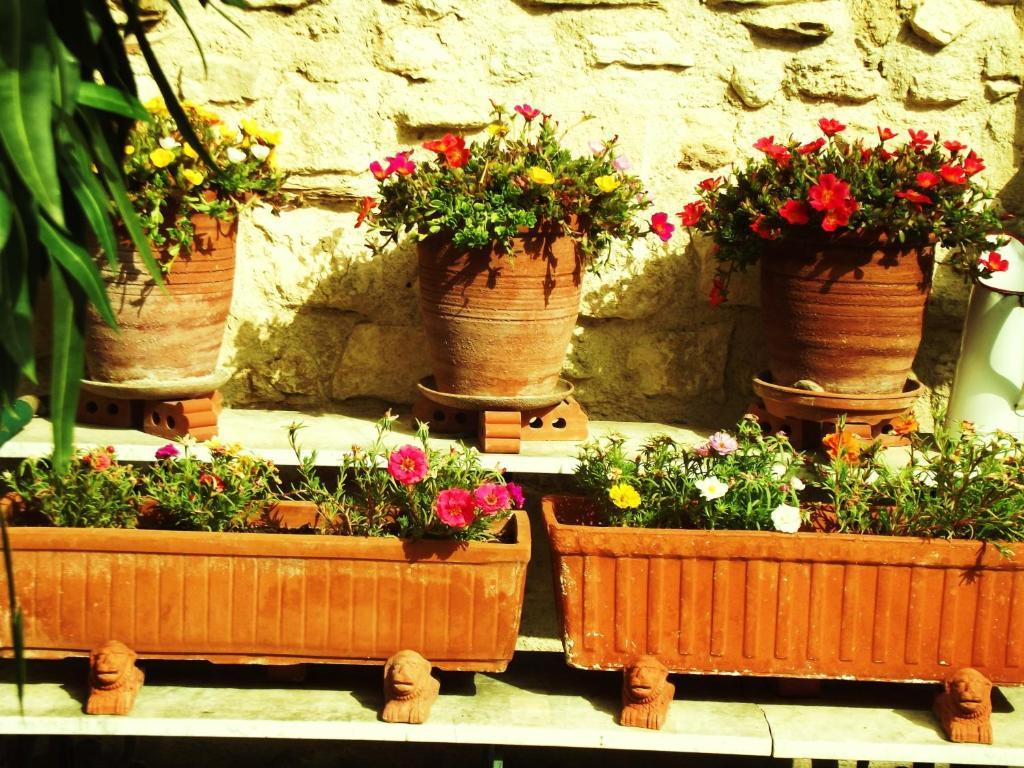 Bed and Breakfast La Maison Aux Volets Bleus Венаск Экстерьер фото